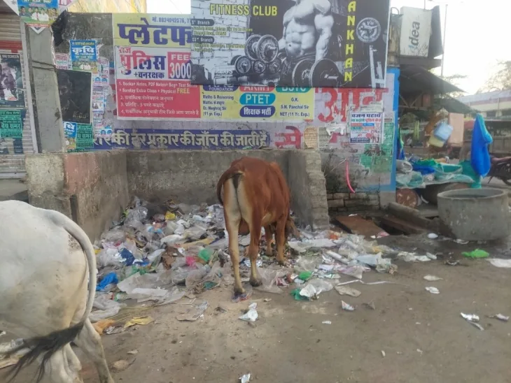 स्वच्छता की जंग: बारां शहर के विकास और कचरा प्रबंधन पर भाजपा और कांग्रेस आमने-सामने