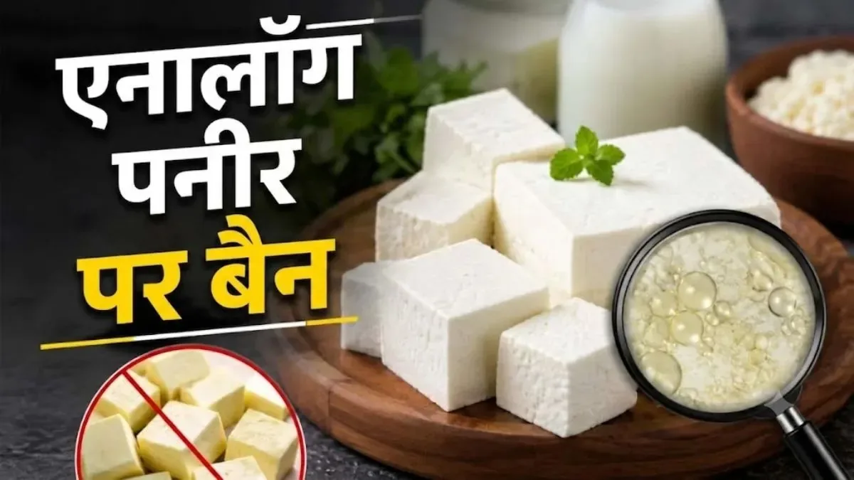 बड़ा फैसला: हिमाचल प्रदेश में एनालॉग पनीर पर लगेगा पूर्ण प्रतिबंध, मंडी जिले में मिले 20 नमूने फेल