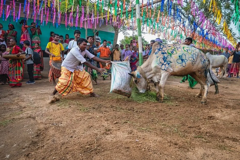 आदिवासी संस्कृति की चमक: विश्व आदिवासी दिवस पर रांची में सिनेमा का भव्य प्रदर्शन