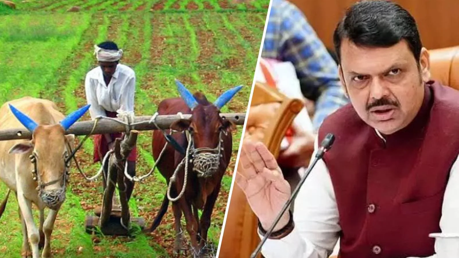 कारोबारी अपडेट: ब्रिटिश कंपनी ने फोसेको इंडिया में बेची अपनी हिस्सेदारी, महाराष्ट्र के किसानों का 382 करोड़ रुपये का कर्ज माफ