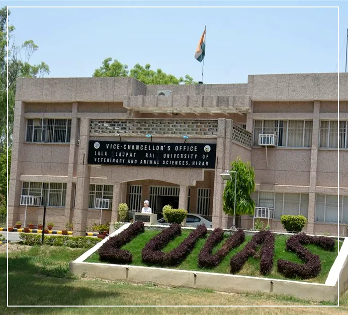 शैक्षणिक सत्र का शुभारंभ: हिसार के लाला लाजपत राय पशुचिकित्सा और पशु विज्ञान विश्वविद्यालय (लुवास) में बीवीएससी-एएच और डेयरी टेक्नोलॉजी पाठ्यक्रमों के लिए प्रवेश प्रक्रिया शुरू