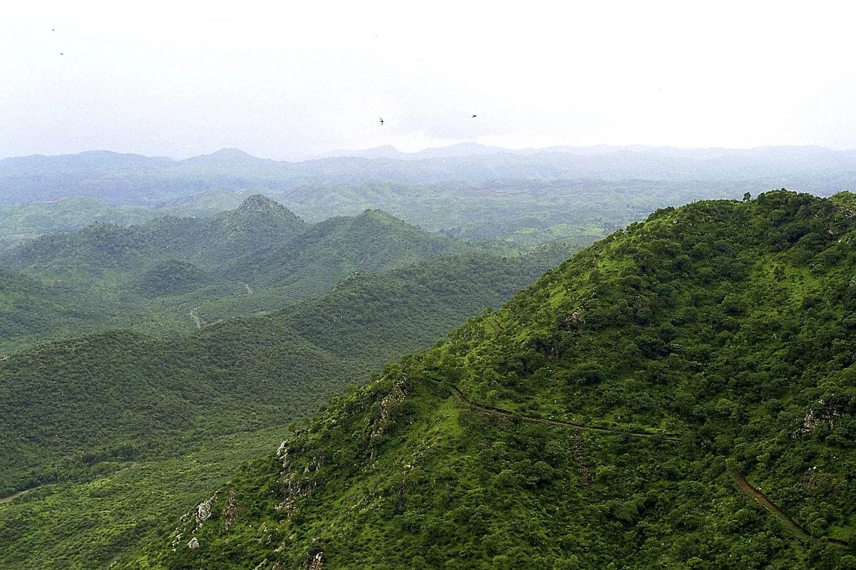 अरावली पर्वतमाला का भौगोलिक विस्तार: जानें भारत के किन राज्यों तक फैली हैं ये प्राचीन पहाड़ियां