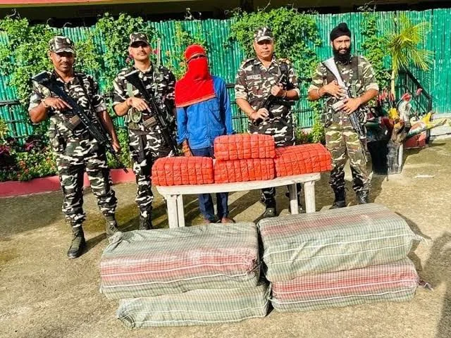 बड़ी कार्रवाई: सशस्त्र सीमा बल और बिहार एसटीएफ ने 145 किलो गांजा किया जब्त, एक गिरफ्तार