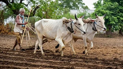 कृषि विकास निधि स्वीकृत: अयोध्या जिले में 384 करोड़ रुपये से पांच लाख किसानों को मिलेगा लाभ