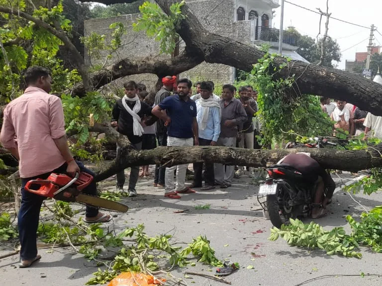 सड़क हादसा: चलती बाइक पर सूखा पेड़ गिरने से 40 वर्षीय युवक की मौत, पत्नी और बच्चा गंभीर रूप से घायल