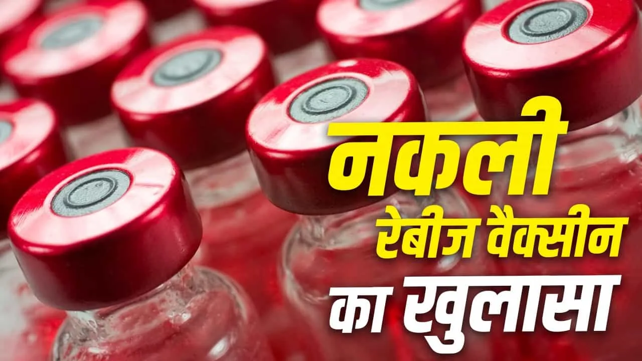 बड़ा भंडाफोड़: दिल्ली के भागीरथ पैलेस से 481 नकली रेबीज वैक्सीन जब्त, कानपुर तक फैले नेटवर्क के तार