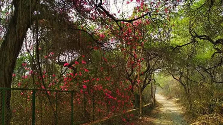 आकर्षण का केंद्र: वन विभाग के स्टॉल पर मिल रही है अनुसंधान से जुड़ी महत्वपूर्ण जानकारी