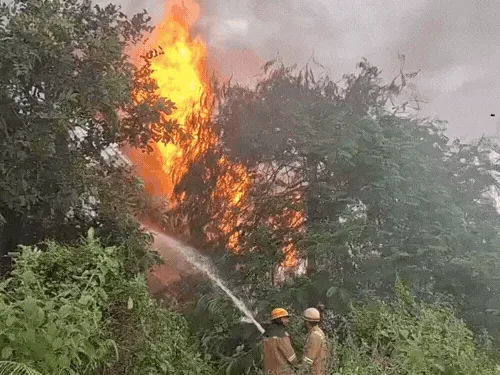 भीषण हादसा: मुरादाबाद की आरएच इंटरनेशनल फैक्ट्री में लगी खतरनाक आग, दूर तक दिखीं ऊंची लपटें