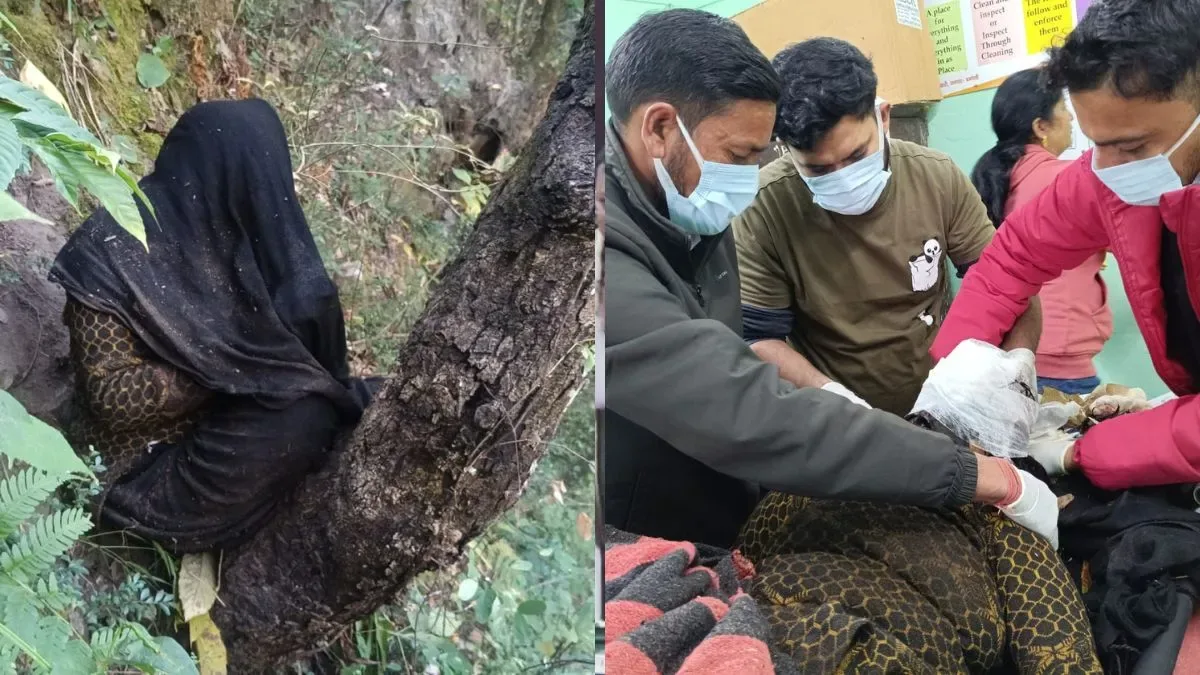 हादसा या खौफ: उत्तराखंड में भालू के हमले से बचने के दौरान गहरी खाई में गिरीं दो महिलाएं, एक की मौत