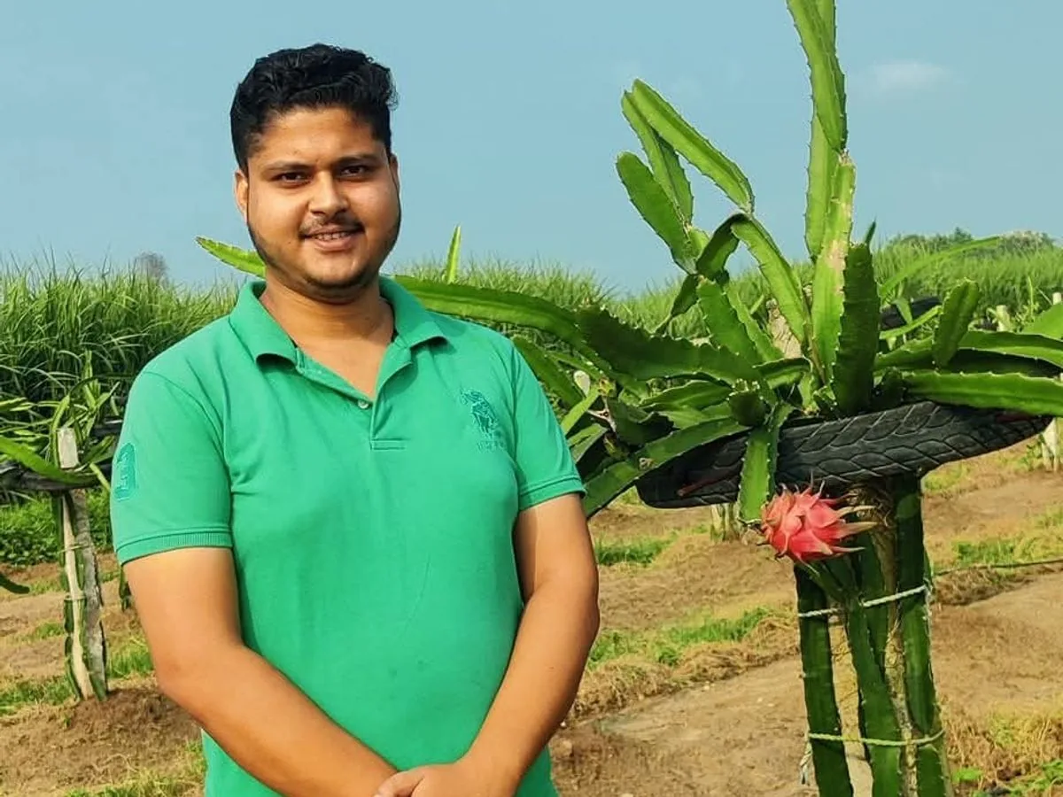 खेती में नया बदलाव: आधुनिक तकनीक से ड्रैगन फ्रूट की खेती कर रहे किसान, बेहतर उत्पादन से हो रही अतिरिक्त कमाई