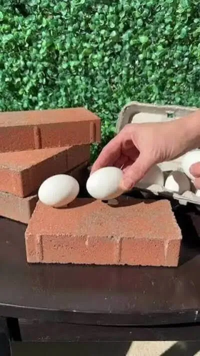 कूलिंग तकनीक: अंडे के छिलकों से तैयार ईंटें रखेगी घरों को ठंडा