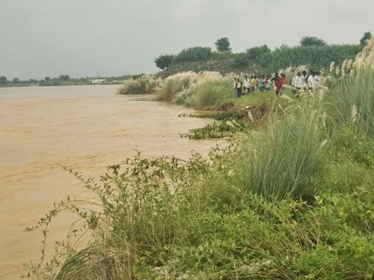 राप्ती नदी का कहर: पीपीगंज के हिरुआ में भीषण कटान से उपजाऊ जमीन समाई, ग्रामीण दहशत में