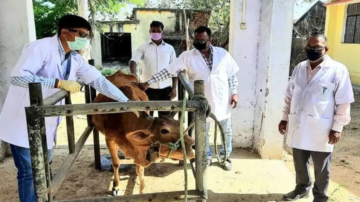 पशु अस्पताल में वसूली: चिनहट के सरकारी केंद्र पर दवाओं के नाम पर अवैध उगाही के आरोप