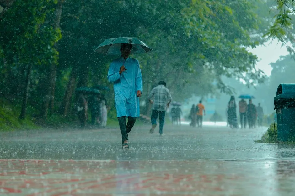मानसून की विसंगति: देश भर में औसत से 14 प्रतिशत कम बारिश दर्ज, लेकिन जिन इलाकों में बादल बरसे वहां आई भारी तबाही