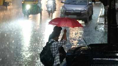 Shravasti : फिर बदला मौसम, काले बादलों और तेज हवाओं से बढ़ी किसानों की चिंता