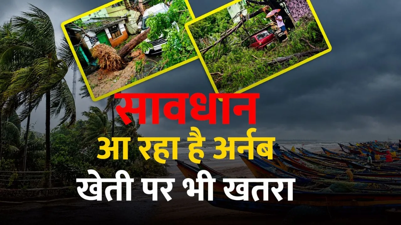 फसल संकट: चक्रवात अर्नब के कहर से गोरखपुर के किसानों की बढ़ी चिंता