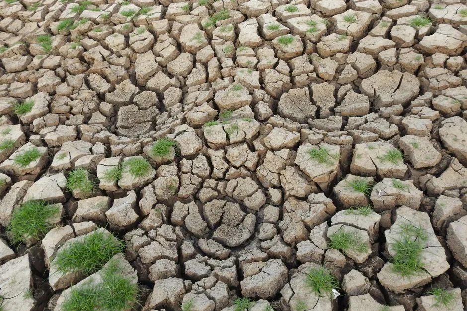 मौसम का संकट: कहीं सूखे की मार तो कहीं फसलों पर बारिश का कहर