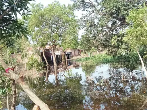 जलभराव का संकट: सीतापुर के धेनापुर में कड़हा तालाब का पानी घरों में घुसा
