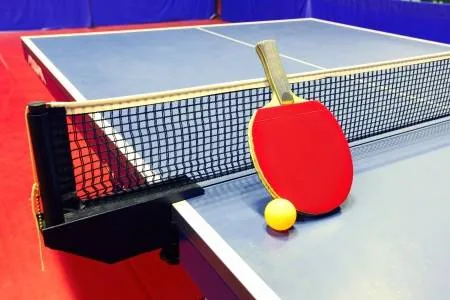 टेबल टेनिस चैंपियनशिप: पंचकूला प्रतियोगिता में मनल और माधव ने हासिल किया खिताब