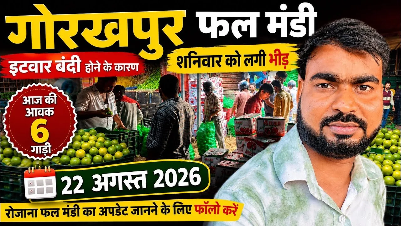 गोरखपुर मंडी अपडेट: कश्मीर और शिमला से बढ़ा सेबों का आवक