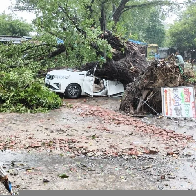 हादसा और स्वास्थ्य: अयोध्या में भारी बारिश के बाद छप्पर पर महुआ का पेड़ गिरने से मां और बेटा गंभीर रूप से घायल