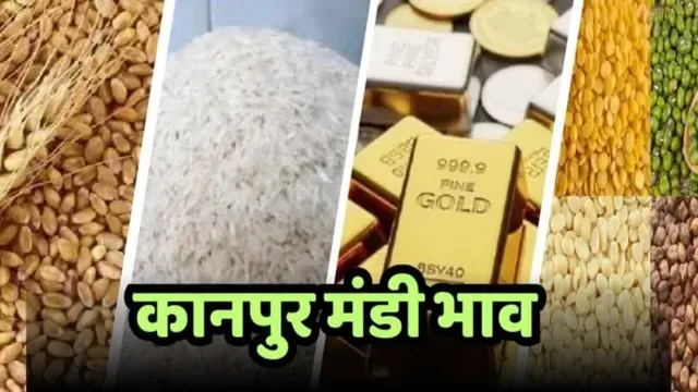 बाजार के ताजा भाव: कानपुर में खुले बाजार के थोक जिंसों के दामों में उतार-चढ़ाव