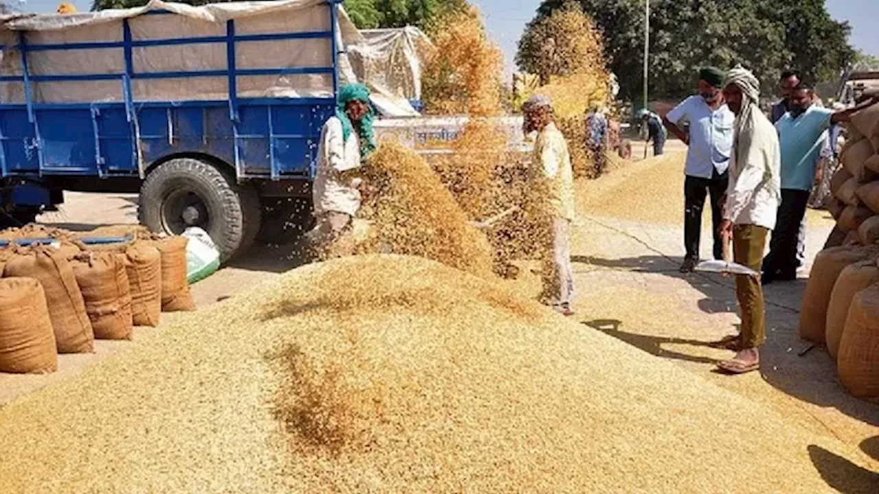 अंतरराष्ट्रीय मांग में उछाल: धान का भाव पहुंचा 4400 रुपये प्रति क्विंटल