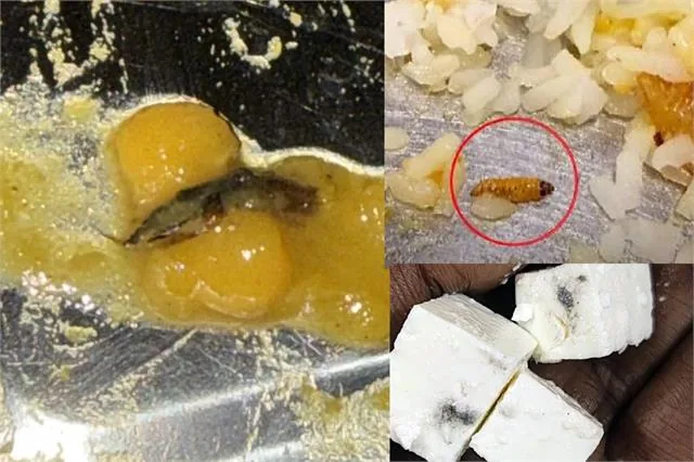 लखनऊ विश्वविद्यालय बवाल: मेस में परोसा गया एक्सपायर्ड पनीर, छात्रों ने किया हंगामा