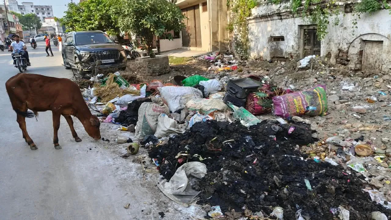कूड़ा संकट: सार्वजनिक स्थानों पर रोक के कारण बलिया की सड़कों पर फैला 50 टन कचरा